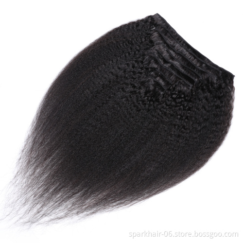 SPARK 100% Russian Human Remy Hair Clip ins Wholesale Invisible Seamless Clip in Hair Extension Human Hair
